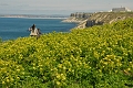 19 04 15_3306